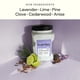 thumbnail image 2 of Recambio de gel eliminador de olores Fresh Wave Lavender 1.86 L, 2 of 8