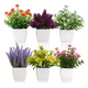 thumbnail image 2 of Plantas artificiales 6 uds macetas bonsai, 2 of 3
