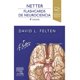 thumbnail image 3 of Netter. Flashcards de neurociencia 4ed., 3 of 3