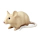 thumbnail image 2 of Modelo de Juguete de Ratón para Niños, Figura de Juguete de , Utilería de Broma, Figura de Animal de Simulación, Suministros para Fiesta de Guarde Estilo A, 2 of 5