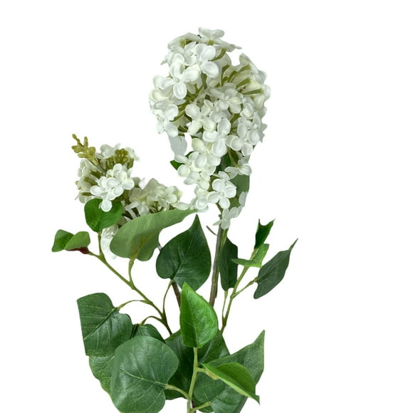 Lila Blanca 85cm Con Acabado Natural