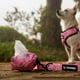 thumbnail image 5 of Portabolsas Sanitarias Petlounge (perro/gato) - Candy Roses, 5 of 7