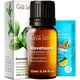 thumbnail image 1 of Aceite esencial de Ravensara Gya Labs 10 mL para cabello, piel y aromaterapia, 1 of 6