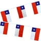 thumbnail image 1 of Pack X 4 Guirnalda Bandera Chilena De Género 9 Unid. En 3 Metros, 1 of 2