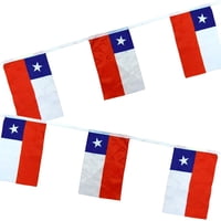 Big Party - Pack X 4 Guirnalda Bandera Chilena De Género 9 Unid. En 3 Metros