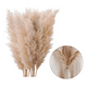 thumbnail image 1 of Ramas pampas grass 10 pzs 100 cm decoración, 1 of 3