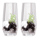 thumbnail image 1 of 2 vasos de vidrio, vasos para jugo domésticos, tazas de té simples resistentes al calor, vasos para bebidas, color transparente, 1 of 5