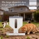 thumbnail image 4 of Alimentador automático para gatos PAULOZYN 12 L dispensador dual de gravedad, 4 of 9