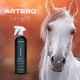 thumbnail image 5 of Shampoo Artero Angel 1000ml para Caballos Blancos y Grises, 5 of 7