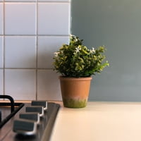 Vadell Home - Boj Con Flores Blancas De 22 Cm Con Macetero