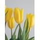 thumbnail image 2 of Tulipan Amarillo 35 Cms, 2 of 2