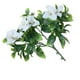 thumbnail image 2 of Gardenia blanca, rama decorativa de 30 cm con protección UV, 2 of 2
