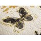 thumbnail image 3 of Cubrecama QUILT 2 Plazas - Crema Mariposas Doradas Kfl121 KFL121, 3 of 5