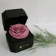 thumbnail image 3 of Joyero Mini Con Rosa Preservada Natural Blanco, 3 of 3