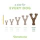 thumbnail image 4 of Juguete masticable para perros Benebone Wishbone, duradero para masticadores agresivos, 4 of 6