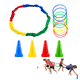 thumbnail image 1 of Juego Cooperativo de Lanzamiento de Aros con Cuerda Elástica, 1 of 7
