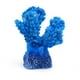 thumbnail image 1 of Planta De Resina Azul, 1 of 3