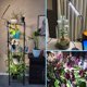 thumbnail image 2 of Grow Lights FRGROW LED de espectro completo de 3 cabezales para plantas de interior, 2 of 8