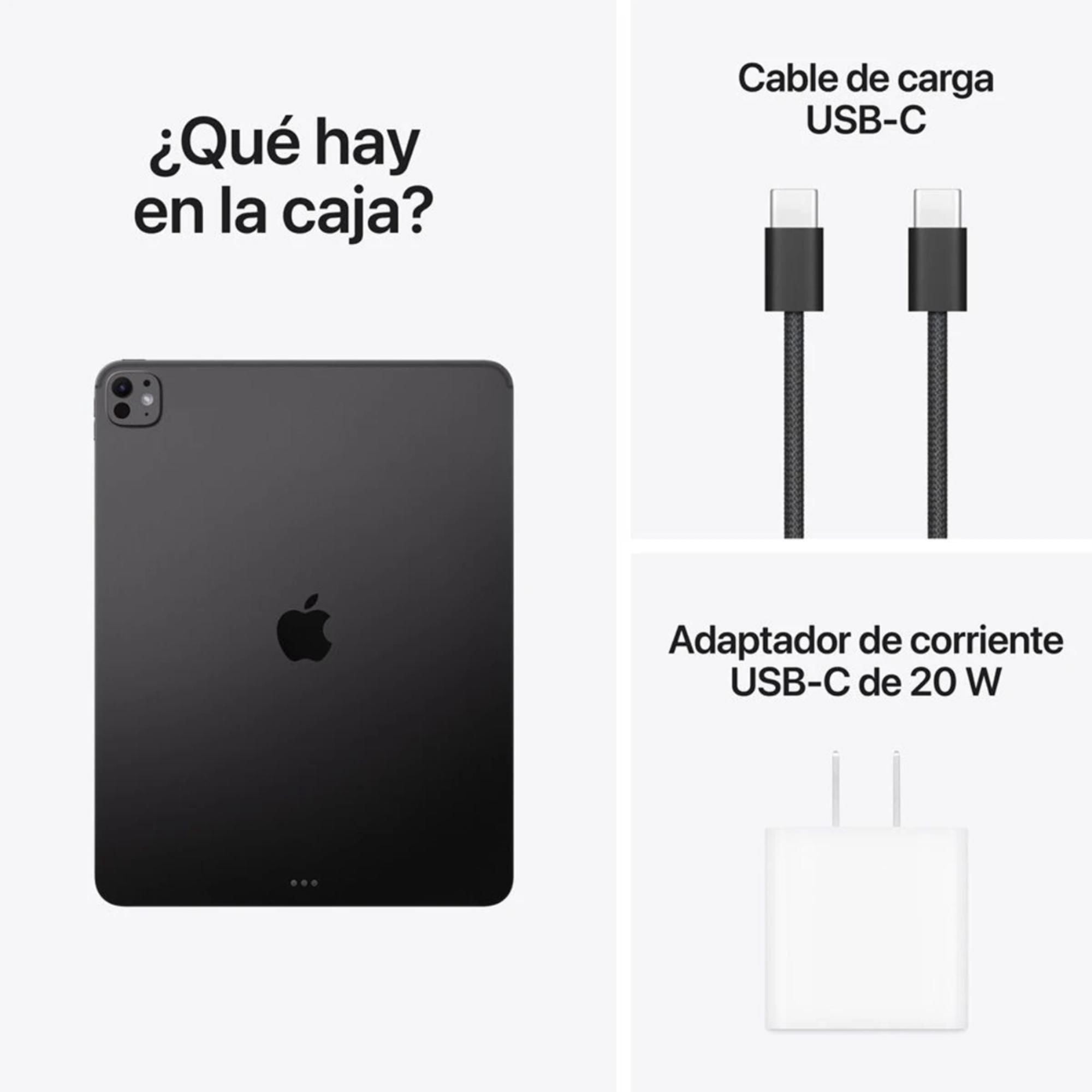 iPad Pro 13 M5 Wi-Fi + Cellular pantalla estandar 256GB negro