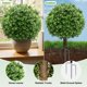 thumbnail image 3 of Planta Artificial LuceAlberi 60 cm Pack de 2 Topiaria, 3 of 9