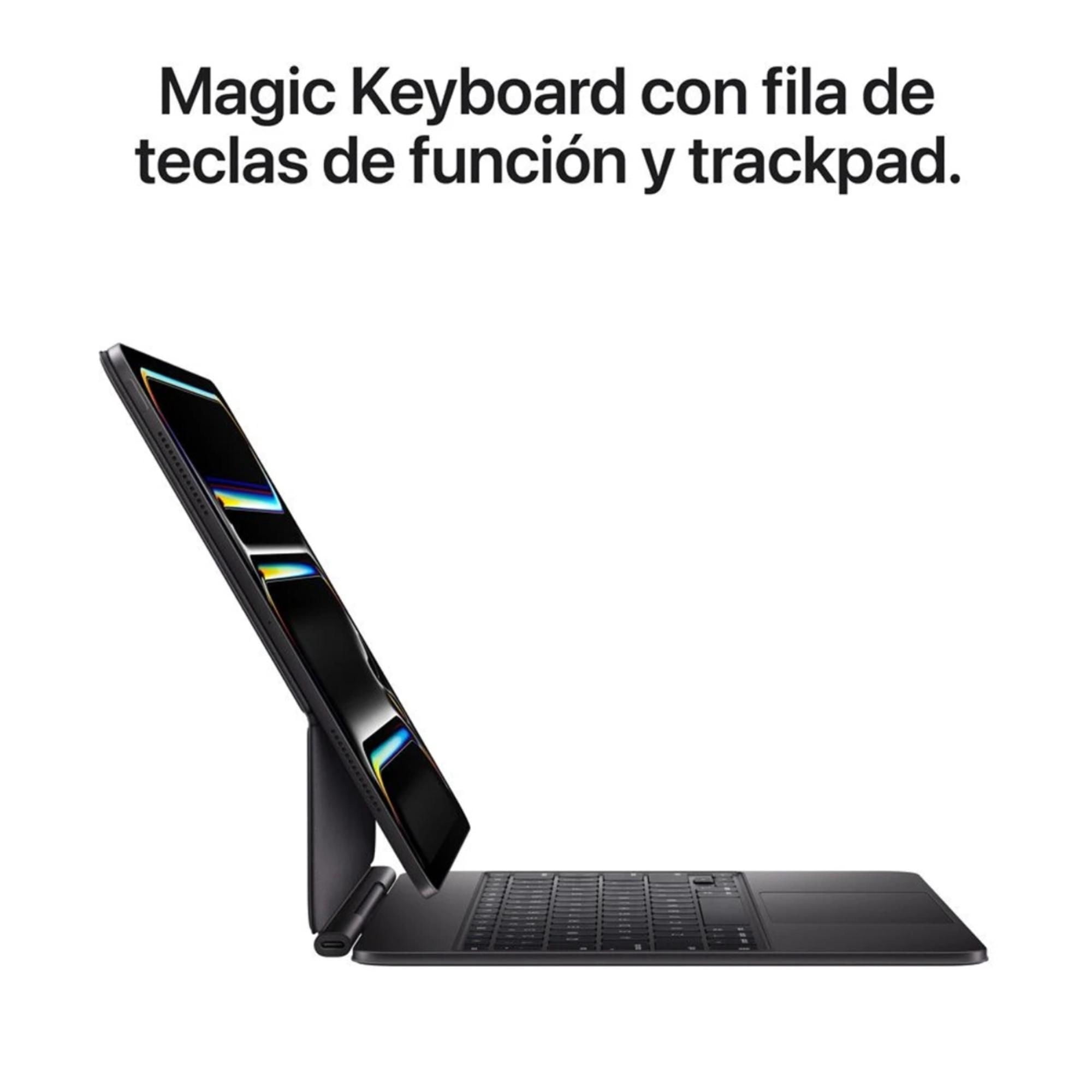 iPad Pro 13 M5 Wi-Fi + Cellular pantalla estandar 256GB negro
