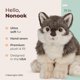 thumbnail image 2 of Peluche Bearington Nanook Lobo 33 cm, 2 of 6