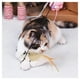 thumbnail image 2 of Juguete Varita Con Bola Y Raton Para Gatos Mascotas, 2 of 4