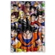 thumbnail image 1 of Cortina de ducha de la colección Anime Dragon Ball, juego de cortina de baño con ganchos, tamaño 48 x 72 pulgadas, 1 of 3