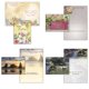 thumbnail image 3 of Tarjetas de Felicitación Shared Blessings – 24 unidades (KJV), 3 of 9