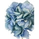 thumbnail image 2 of Hortensia Celeste 52cm Con Textura Realista, 2 of 3