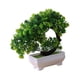 thumbnail image 4 of Plantas Artificiales En Maceta, Adorno Para Exterior, Regalo De Inauguración De La Casa, Piso, Interior, Estilo Loto, 4 of 5