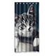 thumbnail image 1 of Cortina de ducha con diseño de gato, con ganchos, 36 x 72 pulgadas, 1 of 3