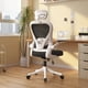 thumbnail image 1 of Silla Amia Ergonómica Silla de Escritorio Soporte Lumbar Ajustable Silla, 1 of 3