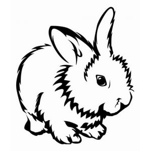 Rienda Libre Graphics - Decomural Cute Rabbit Pet Animals Ws-33024