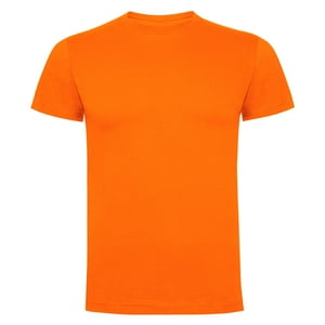 Andesland - Polera 100% Algodón Manga Corta Hombre