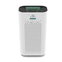 Wasp - Purificador De Aire Smart