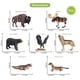 thumbnail image 4 of Set de figuras de animales Volnau Safari, 7 piezas, para niños mayores de 3 años, 4 of 6