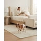 thumbnail image 1 of Pañales Desechables Perro Macho PETSHOW Talla M x 24 Unidades, 1 of 6