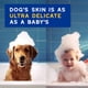 thumbnail image 3 of Champú para perros Douxo Skin & Coat SPA con avena, 473 ml, hipoalergénico, 3 of 7