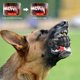thumbnail image 3 of Juguete masticable para perros Hswaye para masticadores agresivos, no tóxico, negro, 3 of 6