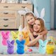 thumbnail image 2 of BOMBPARK 6 peluches de conejo para canasta de Pascua, 2 of 8