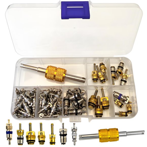 Kit de Núcleos de Válvula para A/C VOTNMIC 49 Piezas R12 R134a