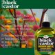 thumbnail image 2 of Aceite capilar Difeel Superior Growth Jamaican Black Castor 210 ml, 2 of 3