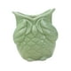 thumbnail image 1 of Maceta Con Forma De Búho, Maceta De Cerámica Para Decoración Del Hogar, Para El Hogar, Patio, Oficina, Sin Aspecto, Verde, 1 of 5