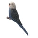 thumbnail image 5 of miniatura animales pájaros modelo estatuilla estatua scupltue juguete loro 2, 5 of 5