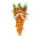 thumbnail image 1 of Decoración De Puerta De Zanahoria De Pascua, Corona De Zanahoria Sintética Para Colgar Para Puerta De Pascua, Sin Conejito, 1 of 3