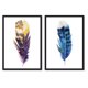 thumbnail image 1 of Set de Cuadros Plumas con Marco Negro 50x40 CM, 1 of 1