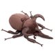 thumbnail image 2 of Peluche de peluche fabricado por ZHONGXIN, simulación Atlas Beetle, 26 cm, 2 of 6