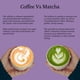 thumbnail image 5 of Té Verde En Polvo Matcha Con Lavanda 300 G, 5 of 9