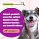 thumbnail image 2 of Probiotic Pet Naturals con sabor a pato para perros, 160 unidades masticables, 120 millones de CFU, 2 of 6